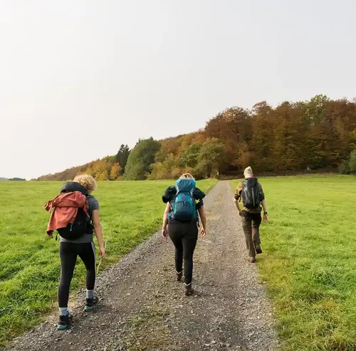 wandergruppen-altenberg-erzgebirge-sachsen-15.webp Eine kleine Wandergruppe wandert in der Natur des Erzgebirges.